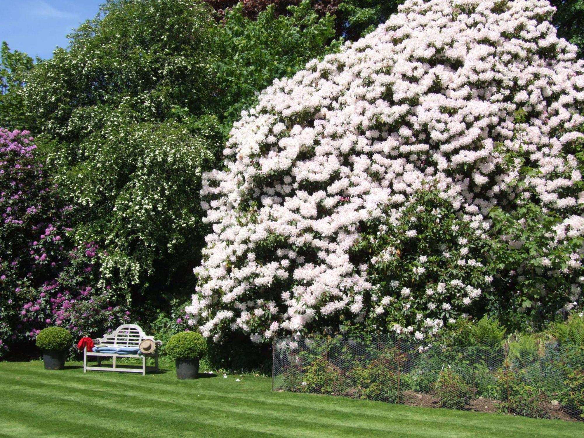 Kinloch House
